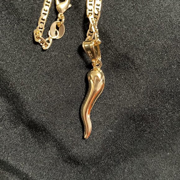 Neiman Marcus 18K Gold Plated Flat Marina Chain With Italian Horn Neckla… - Picture 3 of 4